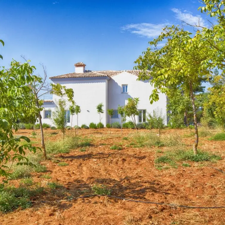 Sale of farm in Ronda