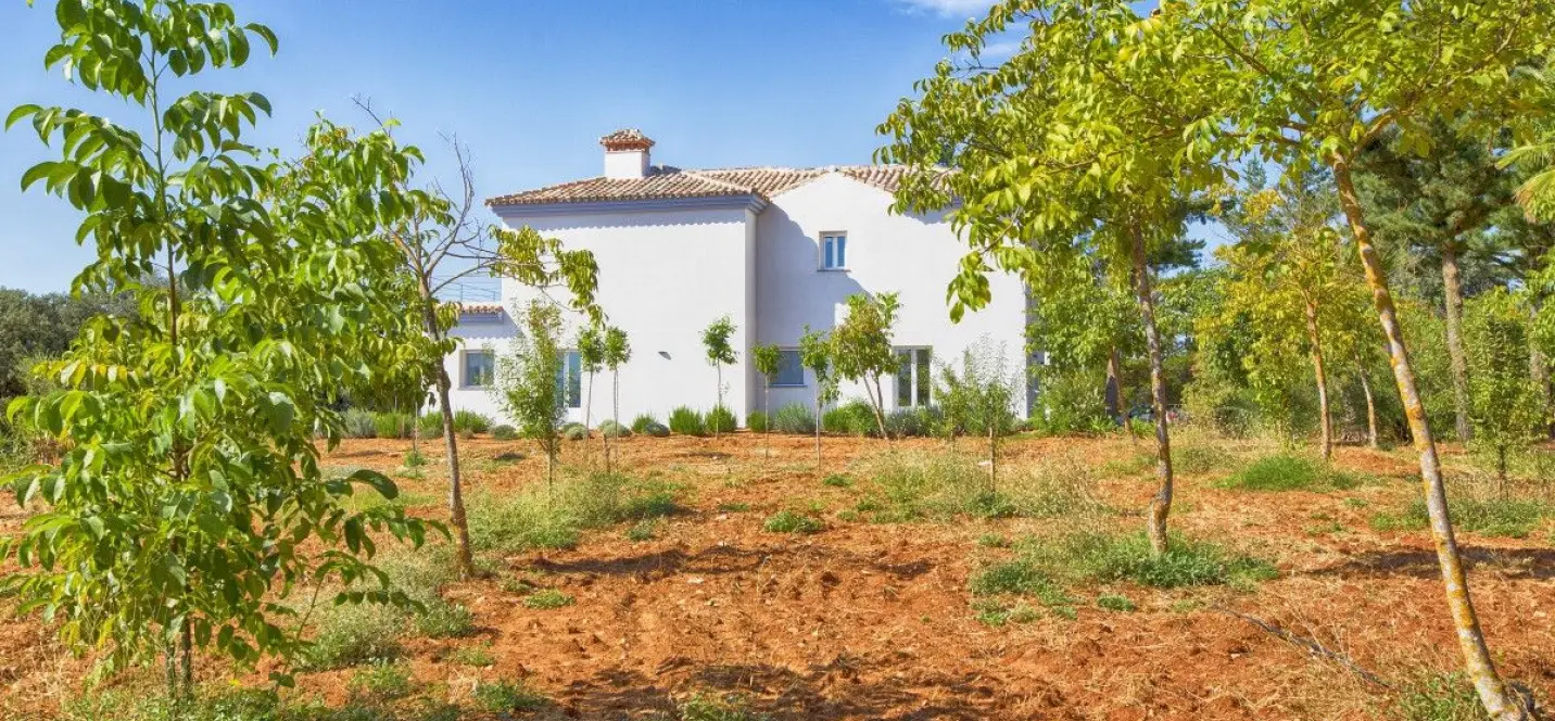 Sale of farm in Ronda 0