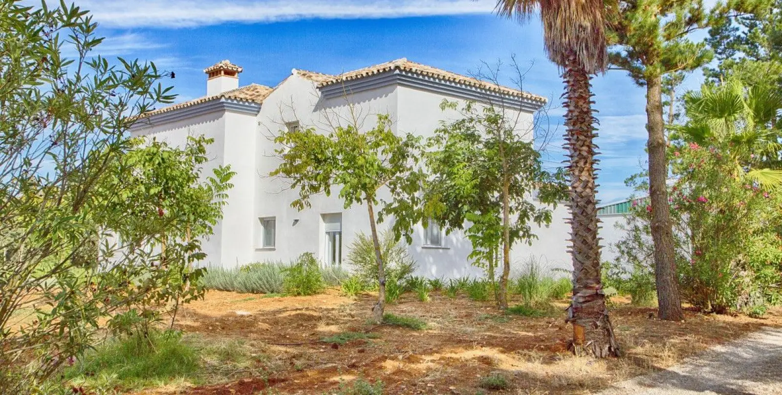 Продажа фермы в Ronda 11