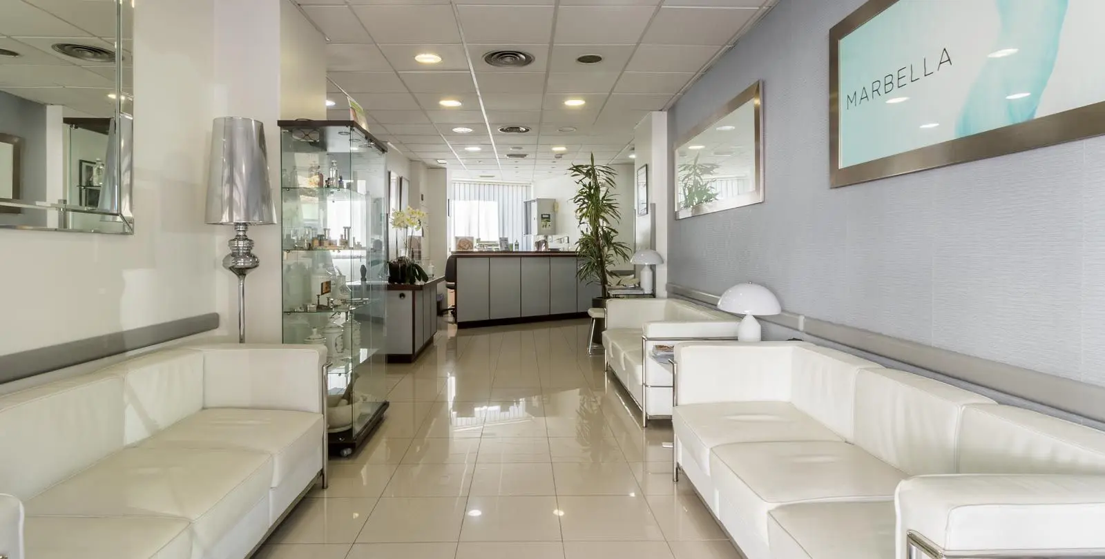 Sale of business in Nueva Andalucía 5