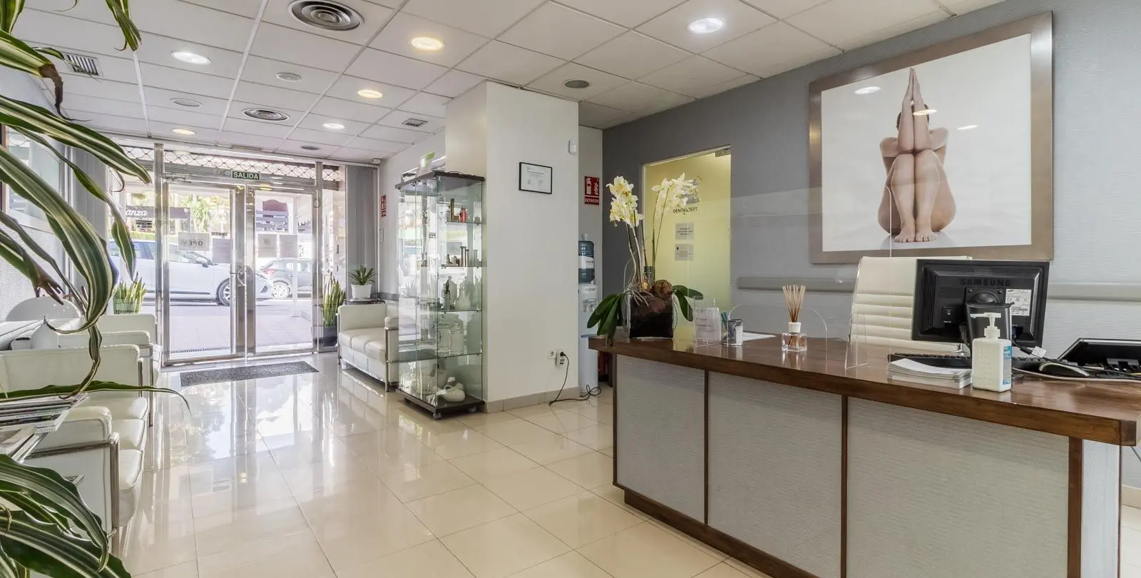 Sale of business in Nueva Andalucía 8