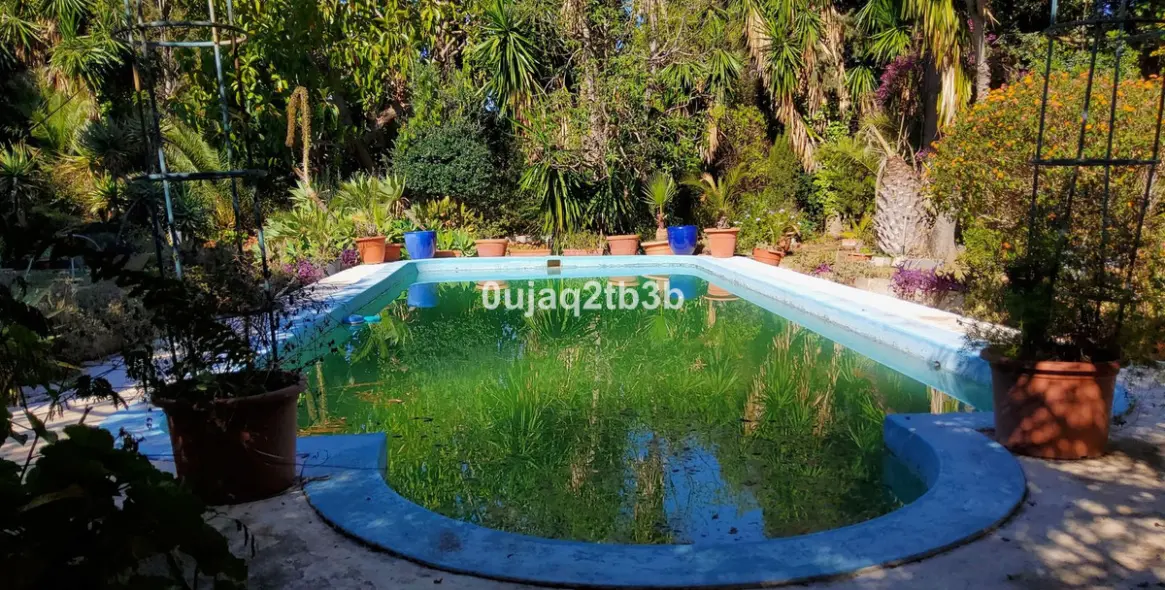 Venta de finca - cortijo en Mijas 4