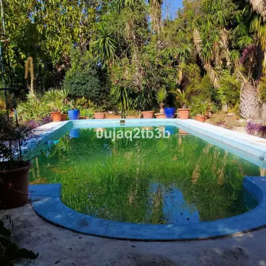 Продажа финки в Mijas