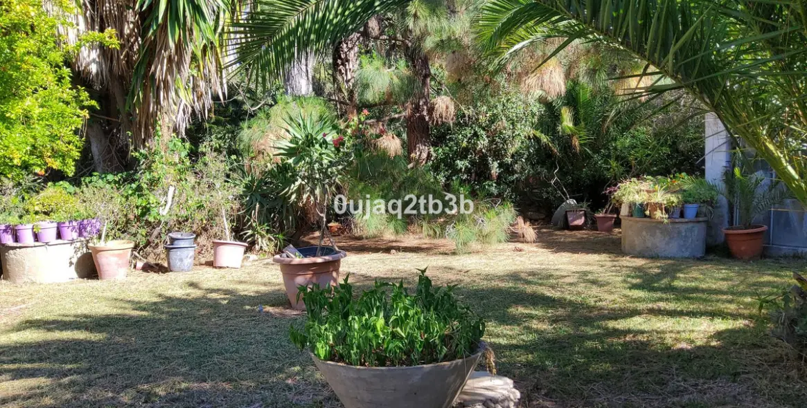 Venta de finca - cortijo en Mijas 6