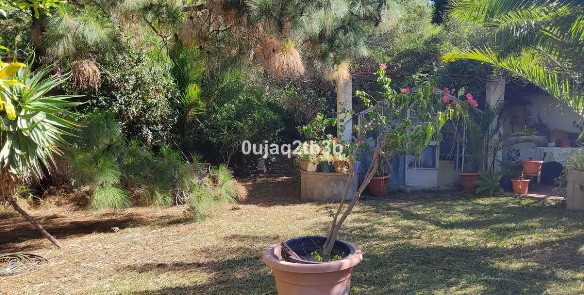 Venta de finca - cortijo en Mijas 7