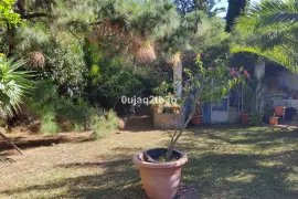 Image 7 thumb
