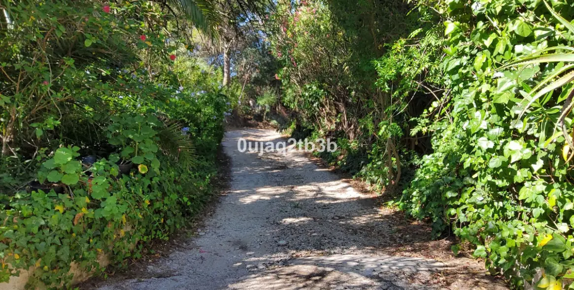 Venta de finca - cortijo en Mijas 9