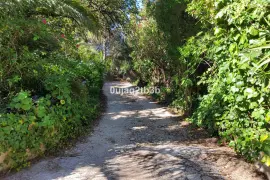 Image 9 thumb