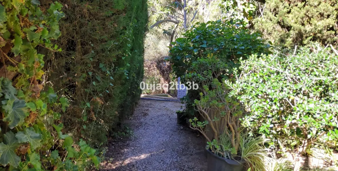 Venta de finca - cortijo en Mijas 14
