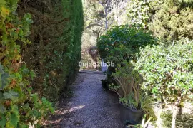 Image 14 thumb