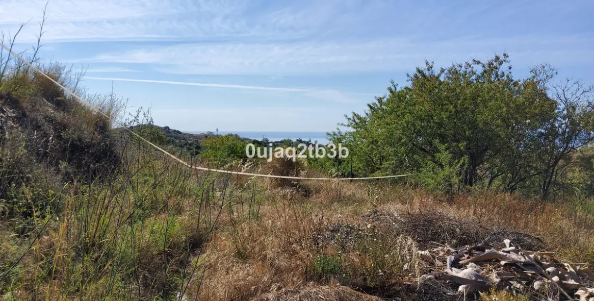 Venta de finca - cortijo en Mijas 15