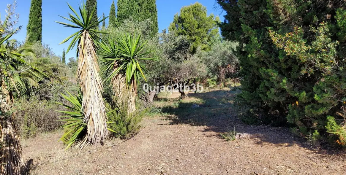 Venta de finca - cortijo en Mijas 16