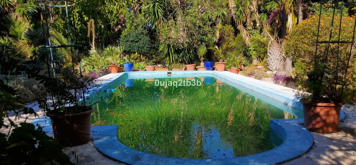 Venta de finca - cortijo en Mijas 3