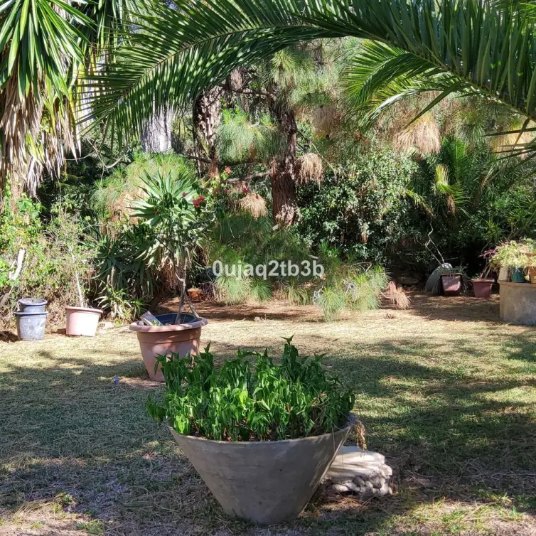 Venta de finca - cortijo en Mijas