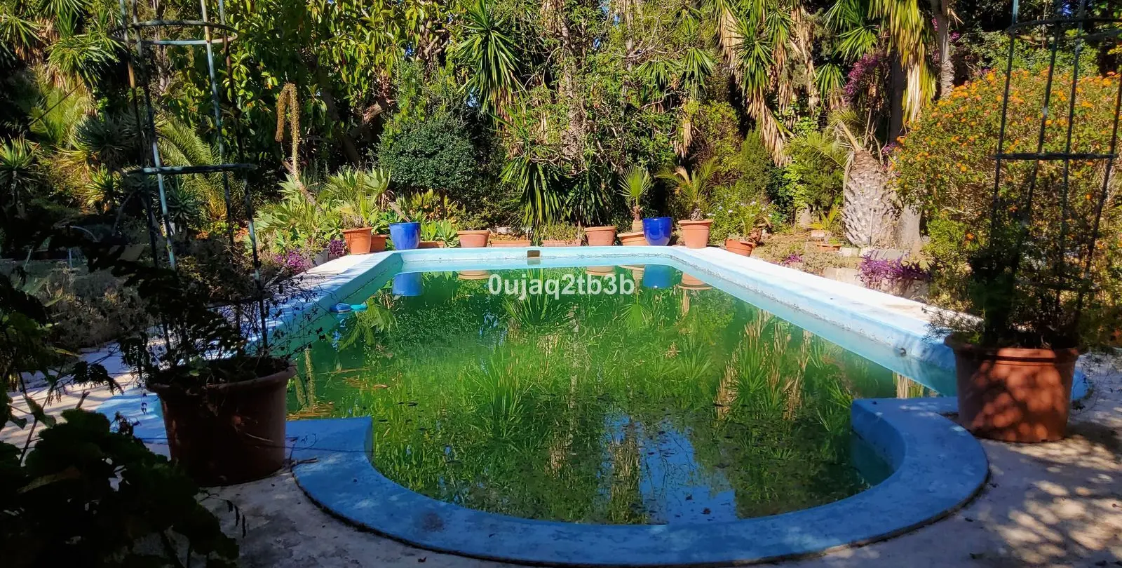Sale of finca - cortijo in Mijas 4