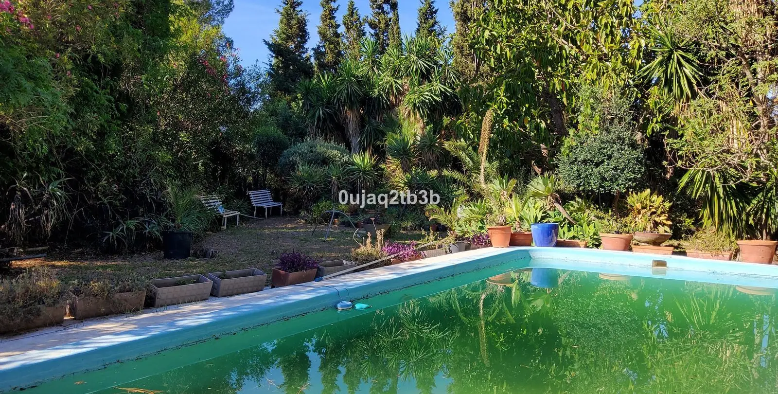 Sale of finca - cortijo in Mijas 5