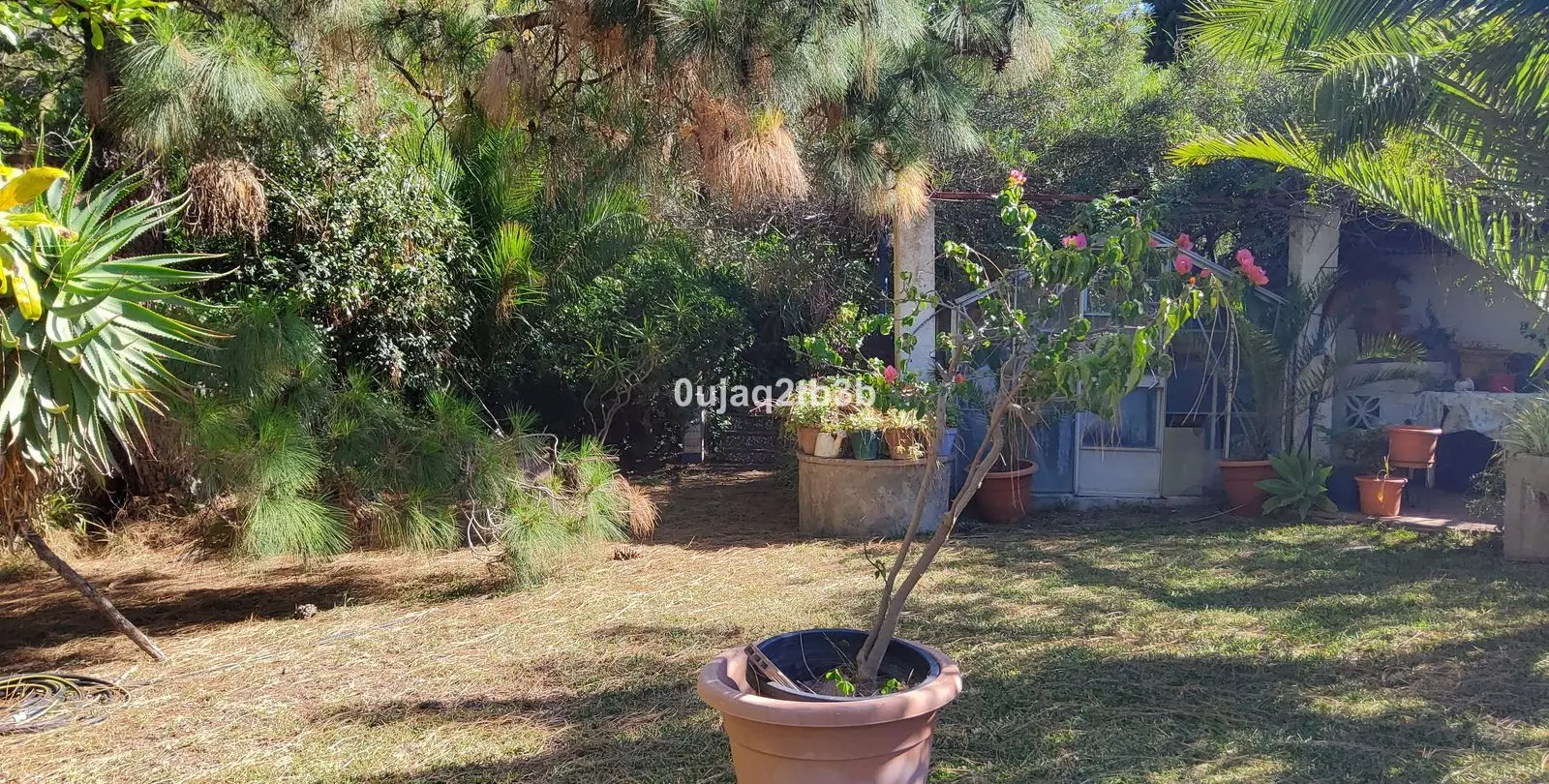 Sale of finca - cortijo in Mijas 7