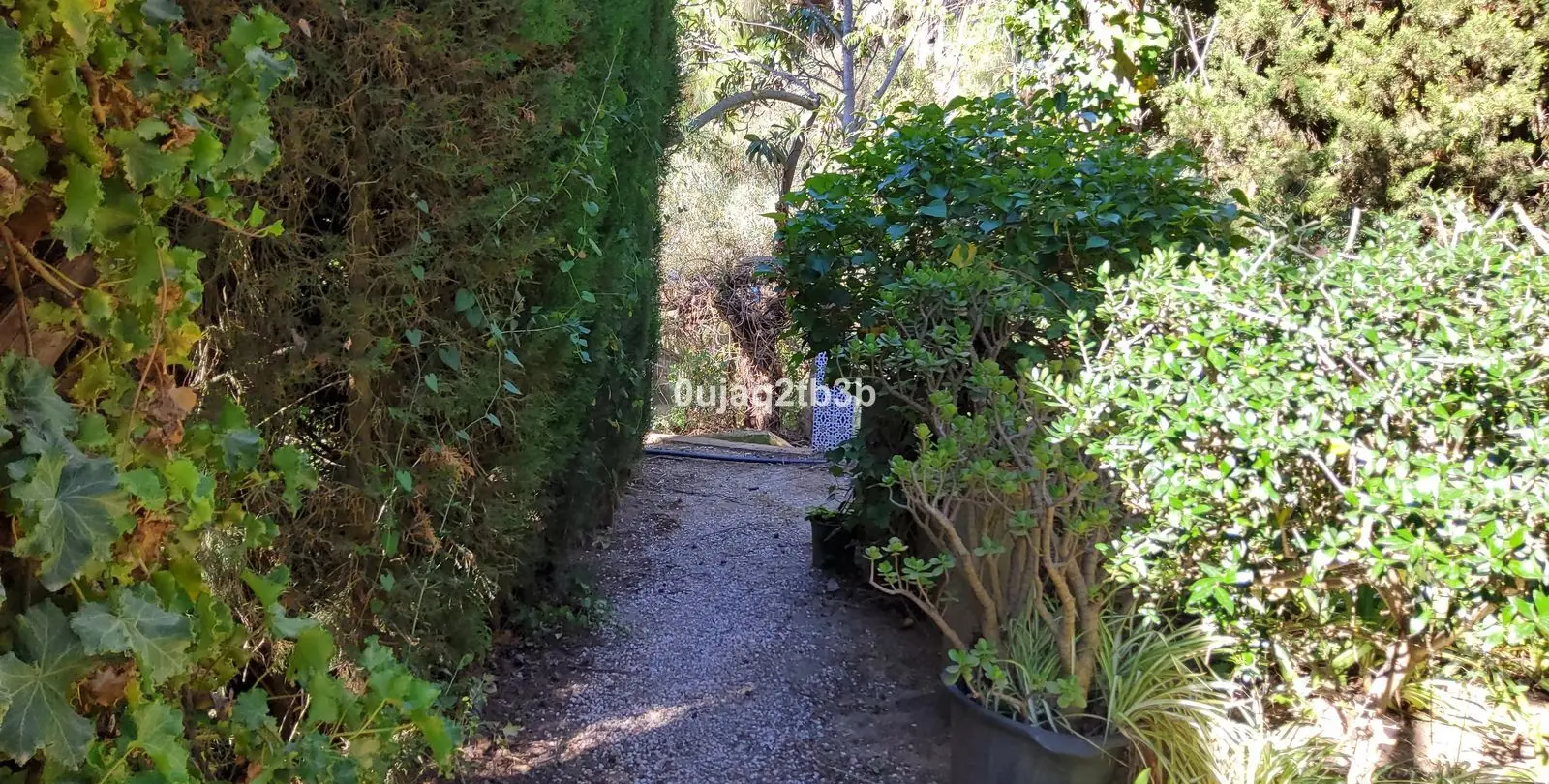 Sale of finca - cortijo in Mijas 14