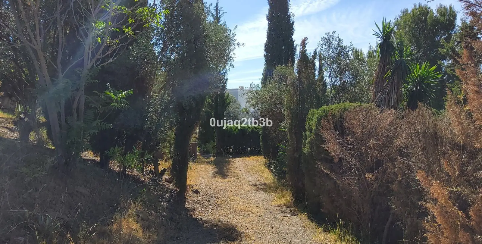 Sale of finca - cortijo in Mijas 24