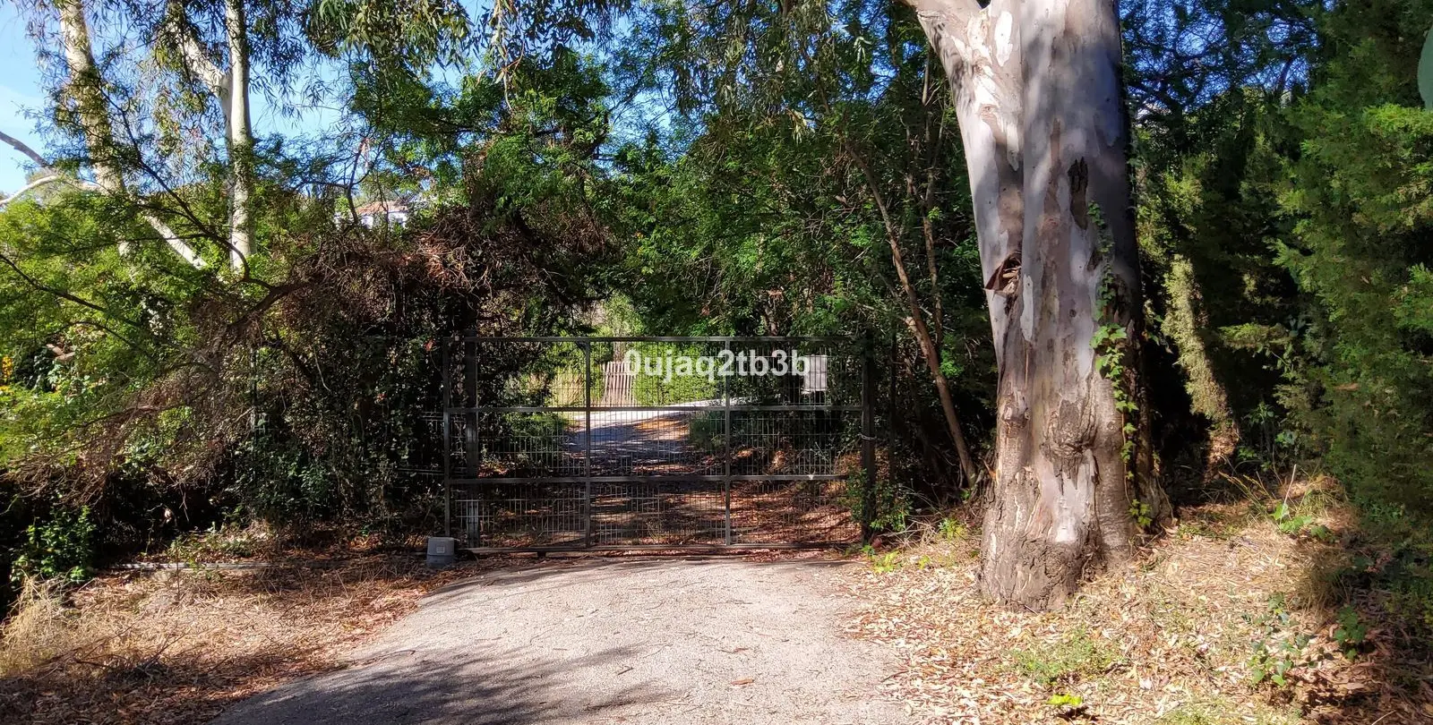 Sale of finca - cortijo in Mijas 25