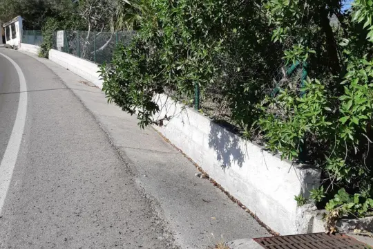 Image 4 thumb