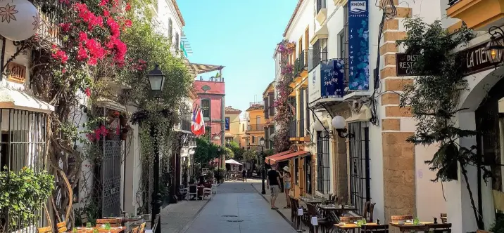 Продажа  жилого участка в Marbella 1