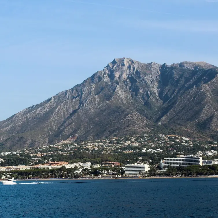 Продажа  жилого участка в Marbella