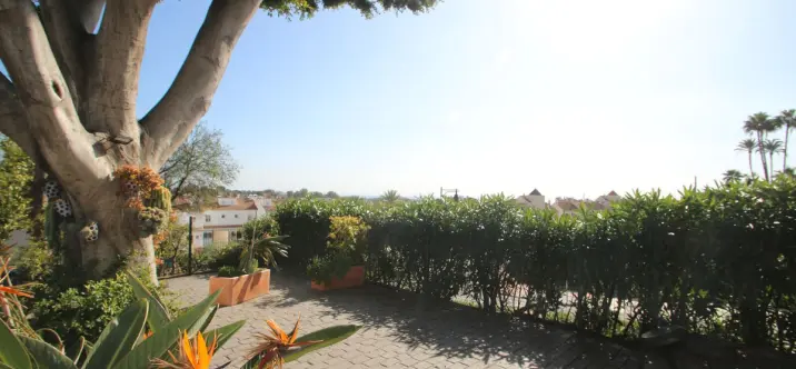 Venta de restaurante en El Paraiso 2