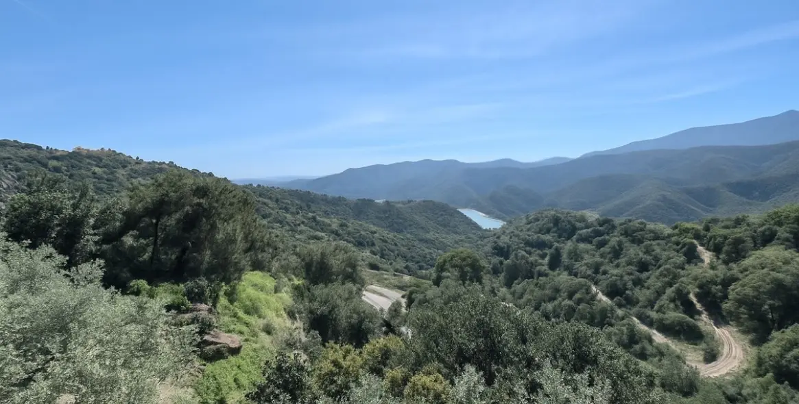 Продажа  отдельно стоящей виллы в Istán 12