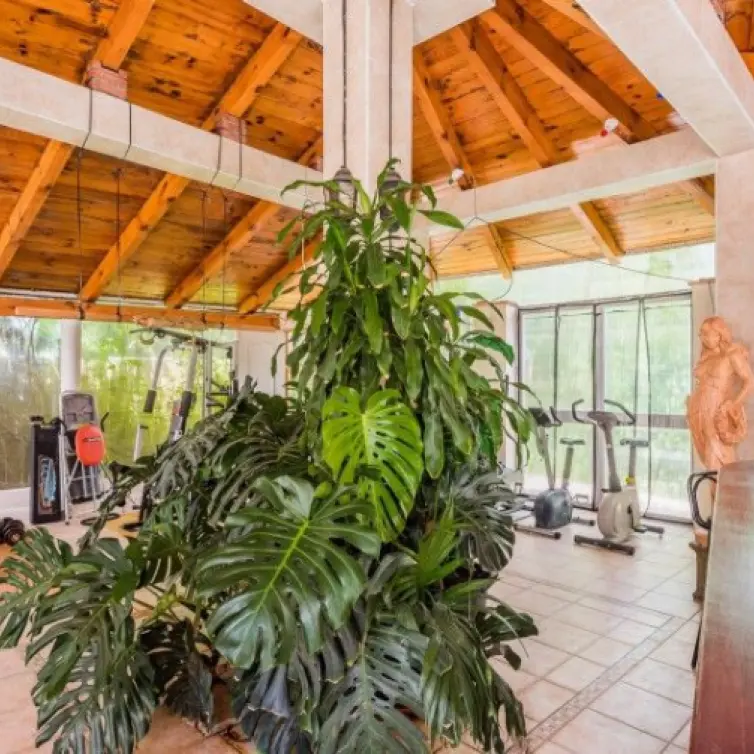 Sale of detached villa in El Rosario