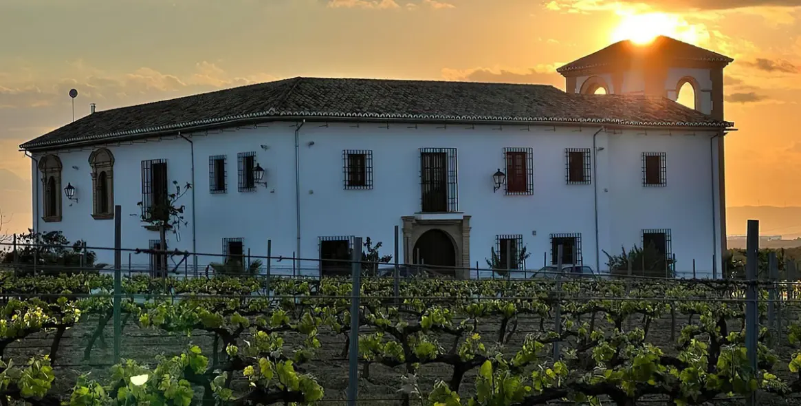 Sale of finca - cortijo in Malaga (district Provincia de Málaga) 2