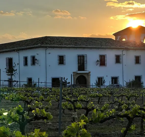 Finca - cortijo R4307242