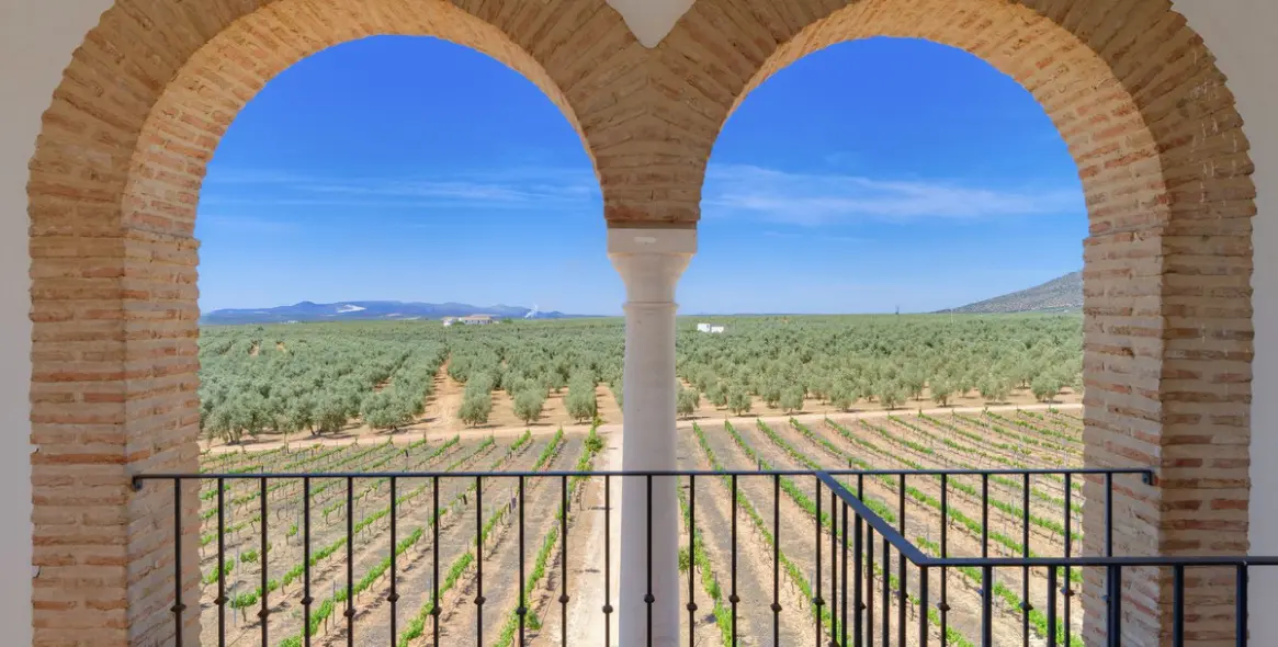 Sale of finca - cortijo in Malaga (district Provincia de Málaga) 3