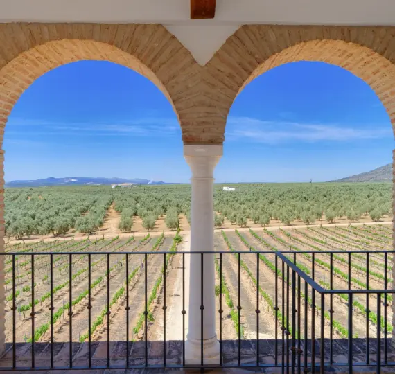 Finca - cortijo R4307242