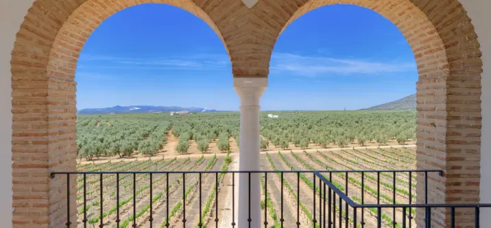 Finca - cortijo R4307242 2