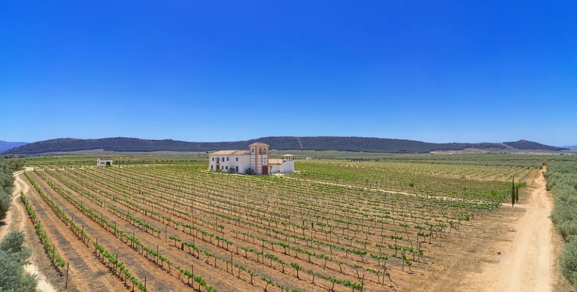 Sale of finca - cortijo in Malaga (district Provincia de Málaga) 5