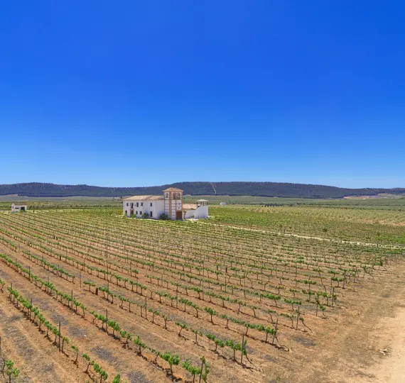 Finca - cortijo R4307242