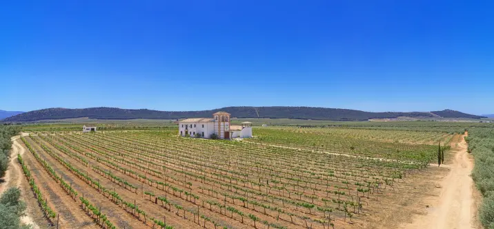 Finca - cortijo R4307242 4