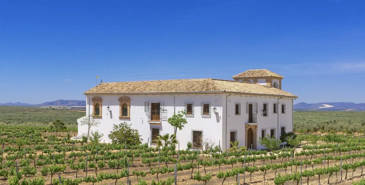 Sale of finca - cortijo in Malaga (district Provincia de Málaga) 6