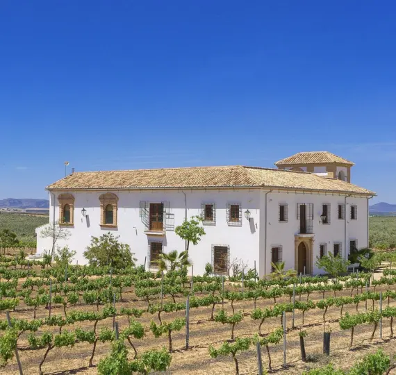 Finca - cortijo R4307242