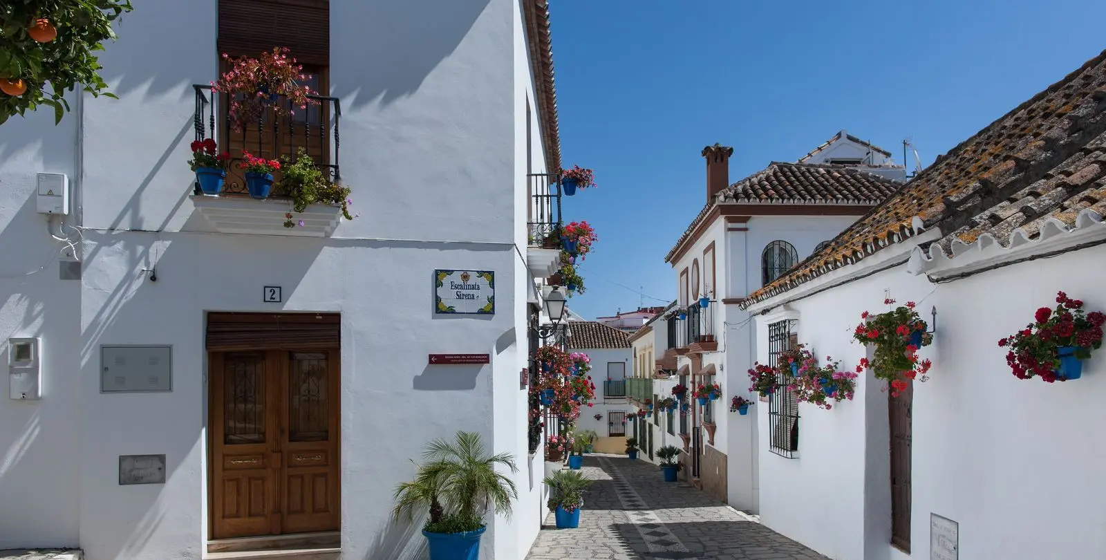 Продажа бизнеса в Estepona 15