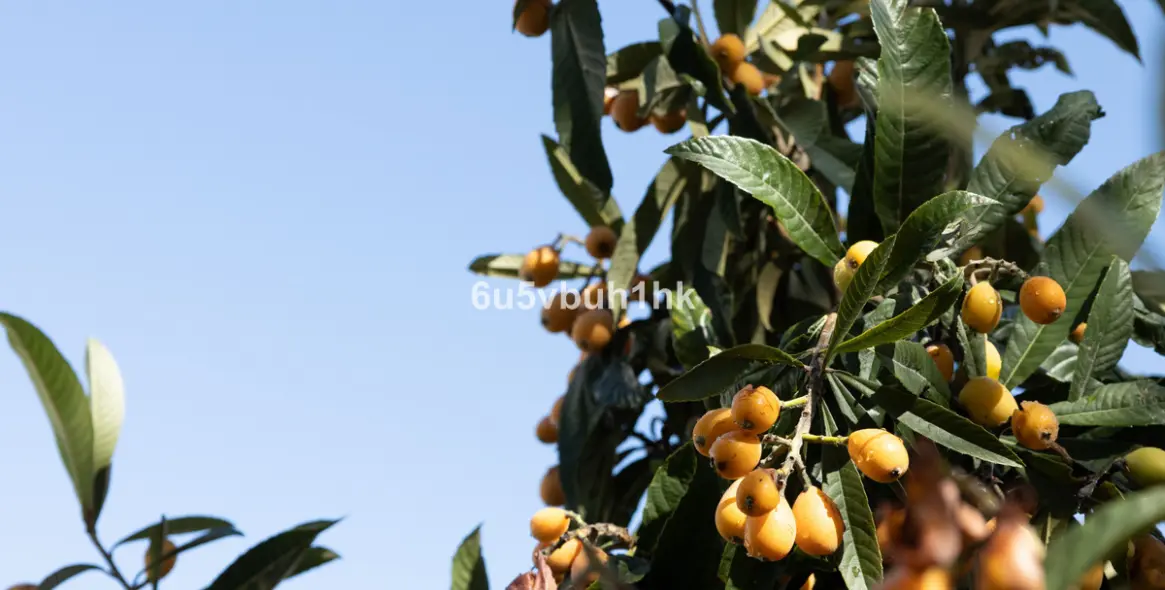 Venta de villa independiente en Linda Vista Baja 40