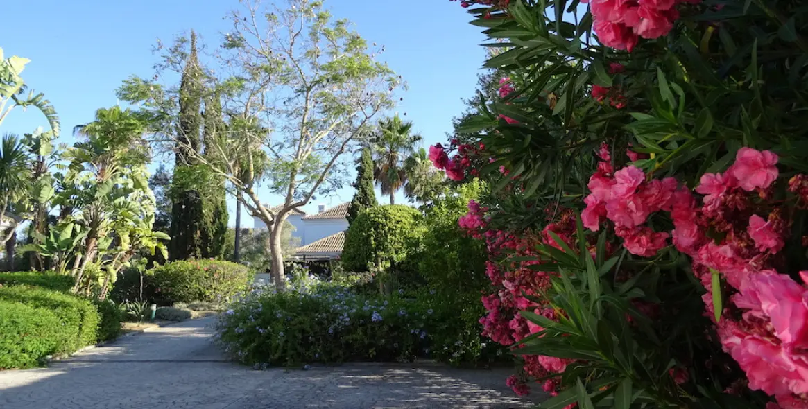 Sale of detached villa in Sotogrande Alto 7