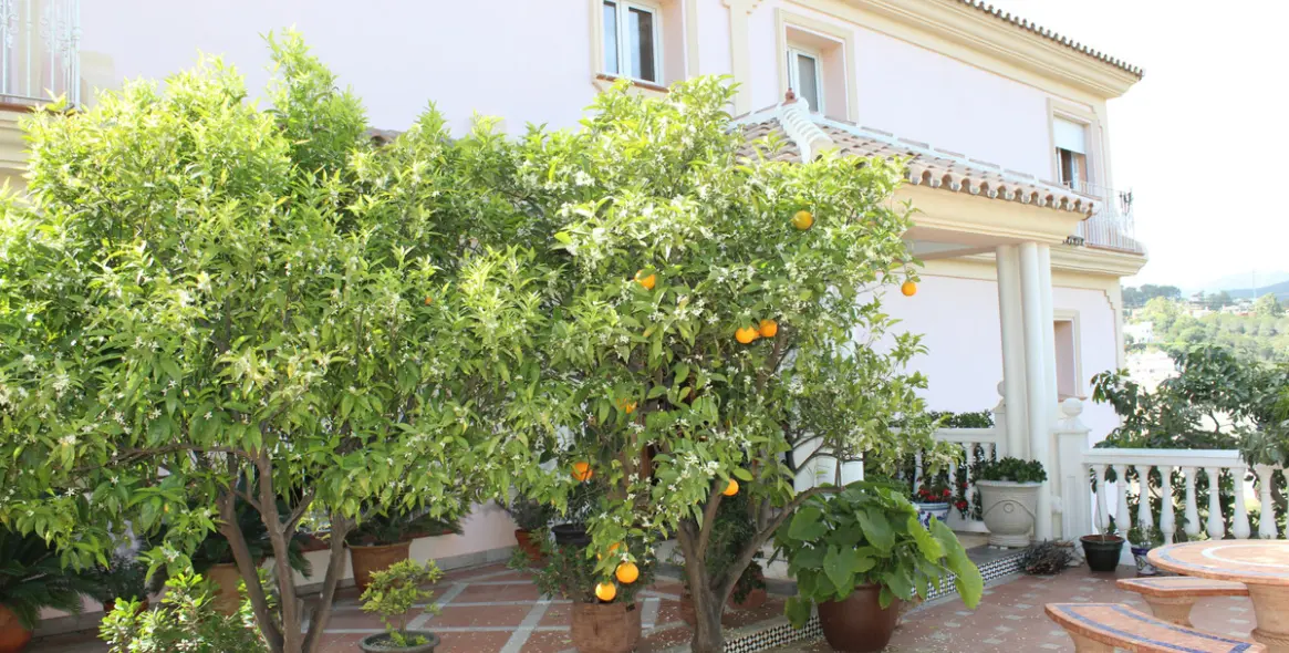 Продажа  отдельно стоящей виллы в Artola 56