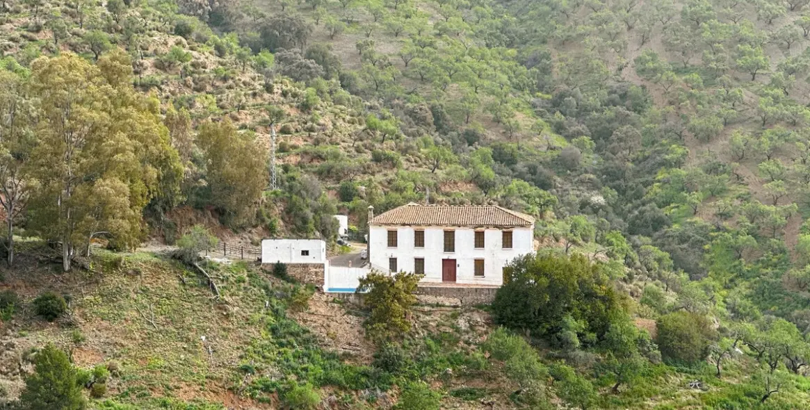 Sale of finca - cortijo in Pinares de San Antón 1