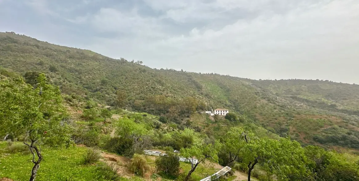 Sale of finca - cortijo in Pinares de San Antón 4