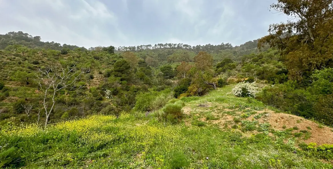 Sale of finca - cortijo in Pinares de San Antón 11
