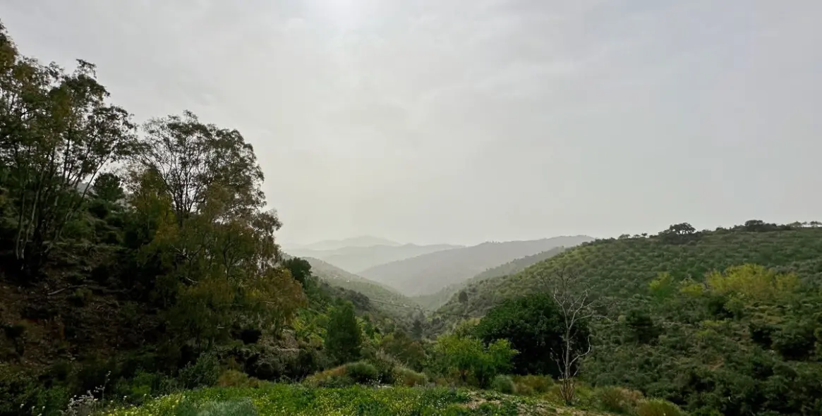 Sale of finca - cortijo in Pinares de San Antón 13