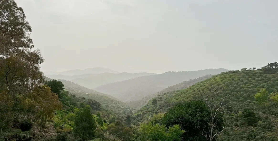 Sale of finca - cortijo in Pinares de San Antón 14