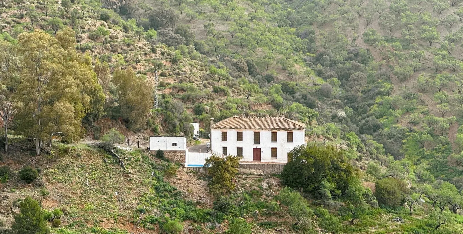 Venta de finca - cortijo en Pinares de San Antón 1